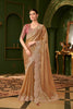 Golden Velvet Saree Pink Designer Blouse Reception Wear