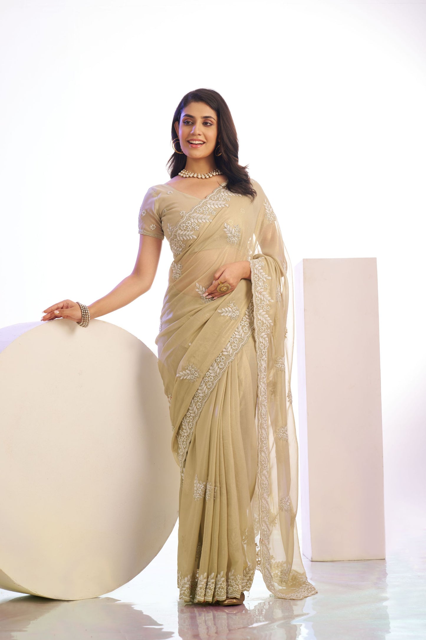 Beige Gold Embroidered Net Saree with Heavy Silver Border
