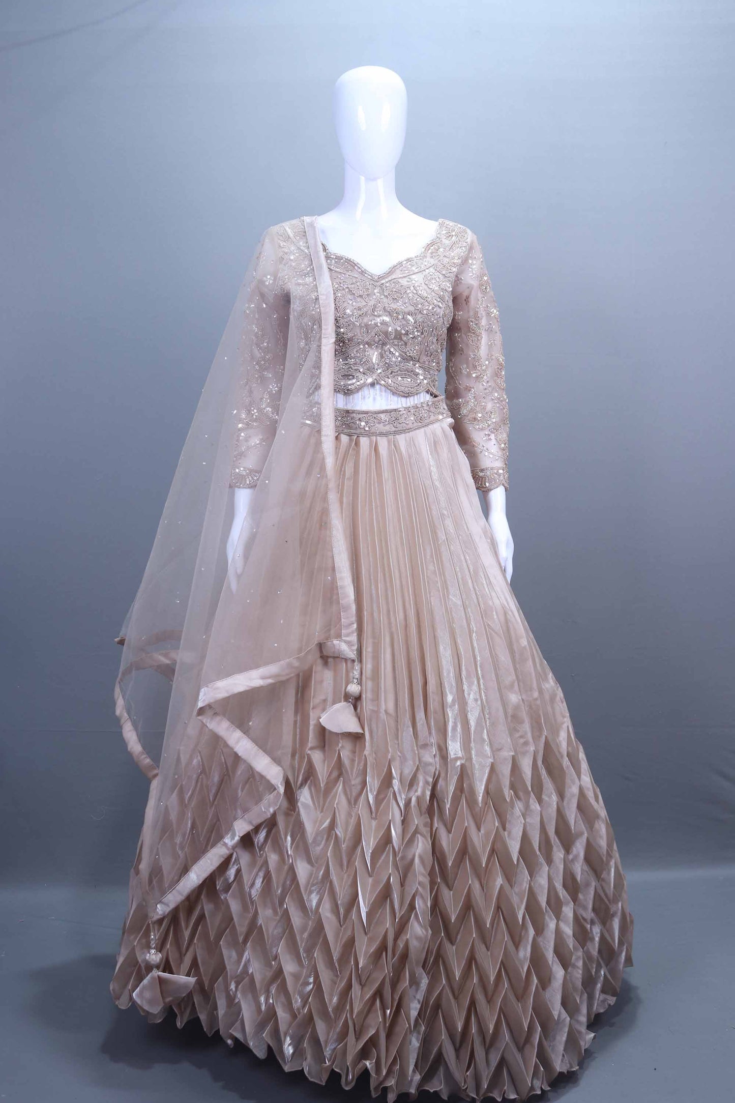 Beige Net Embroidered Pleated Lehenga Choli with Dupatta
