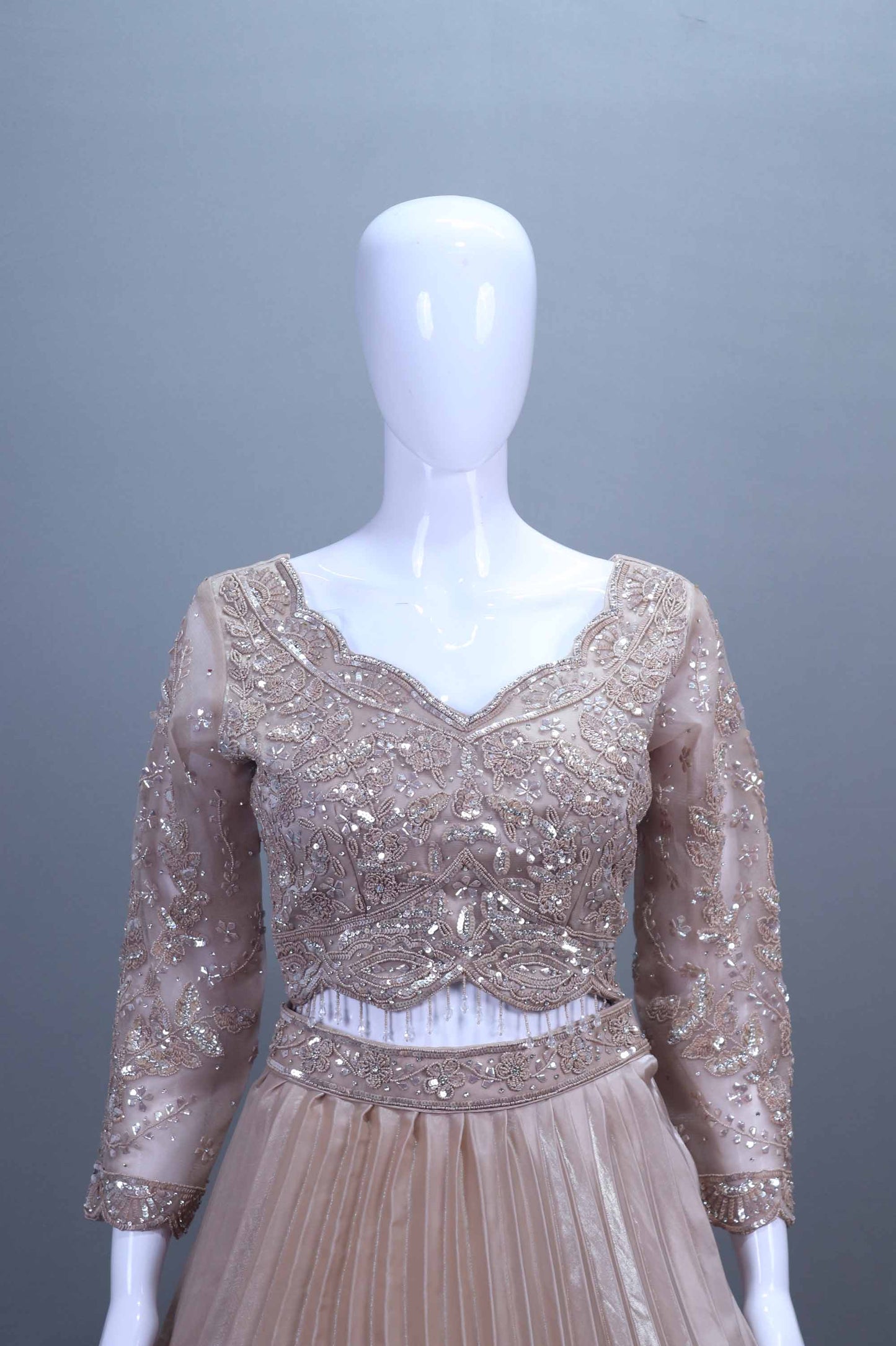 Beige Net Embroidered Pleated Lehenga Choli with Dupatta