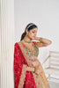 Mustard Yellow Multi - Panel Embroidered Lehenga Choli with Red Dupatta - Mangaldeep NX