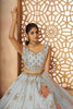 Pastel Sky Blue Lehenga with Peacock & Floral Motifs - Mangaldeep NX