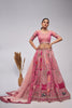 Pink Embroidered Net Lehenga Choli with Elephant and Bandhani Motifs and Sequin Dupatta - Mangaldeep NX