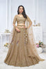 Superb Brown Embroidered Net Lehenga Choli With Dupatta - Mangaldeep NX