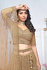 Superb Brown Embroidered Net Lehenga Choli With Dupatta - Mangaldeep NX