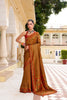 Stylish Rust Brown Tissue Satin Saree with Multicolor Woven Border 