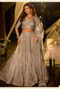 Luxury Grey Embroidered Net Party Wear Lehenga Choli with Dupatta