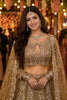 Beautiful Beige Net Bridal Lehenga Choli with Dupatta for Women