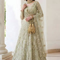 Stylish Pista Green Butterfly Net Embroidered Lehenga Choli for Wedding