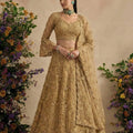 Superb Golden Butterfly Net Embroidered Lehenga Choli with Dupatta for Women