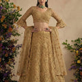 Charming Off White Butterfly Net Embroidered Lehenga Choli with Dupatta for Women