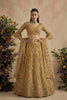 Charming Off White Butterfly Net Embroidered Lehenga Choli with Dupatta for Women