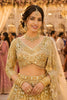 Trendy Beige Embroidered Bridal Lehenga Choli with Designer Net Dupatta for Wedding Wear