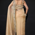 Golden Shimmer Silk Saree with Heavy Stone Zari Embroidered Border