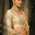 Golden Beige Silk Saree with Embroidered Border Designer Blouse