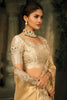 Golden Beige Silk Saree with Embroidered Border Designer Blouse