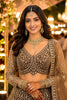 Graceful Brown Net Embroidered Designer Lehenga Choli with Dupatta for Wedding