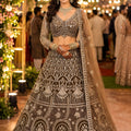 Graceful Brown Net Embroidered Designer Lehenga Choli with Dupatta for Wedding