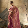 Beautiful Rani Pink Velvet Satin Beads Sequins Zari Work Saree for Women
