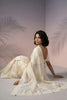 Off-White Silk Saree with Embroidered Border Designer Blouse