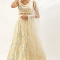 Fancy Yellow Soft Net Embroidered Lehenga Choli with Dupatta for Wedding