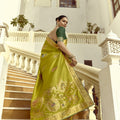 Olive Green Silk Saree with Gold Zari Motifs Designer Woven Border