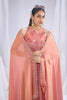 Elegant Peach Satin Silk Saree Stone Work Border Designer Floral Blouse