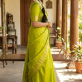 Lime Green Kanjivaram Silk Saree Gold Zari Border Motif Pallu