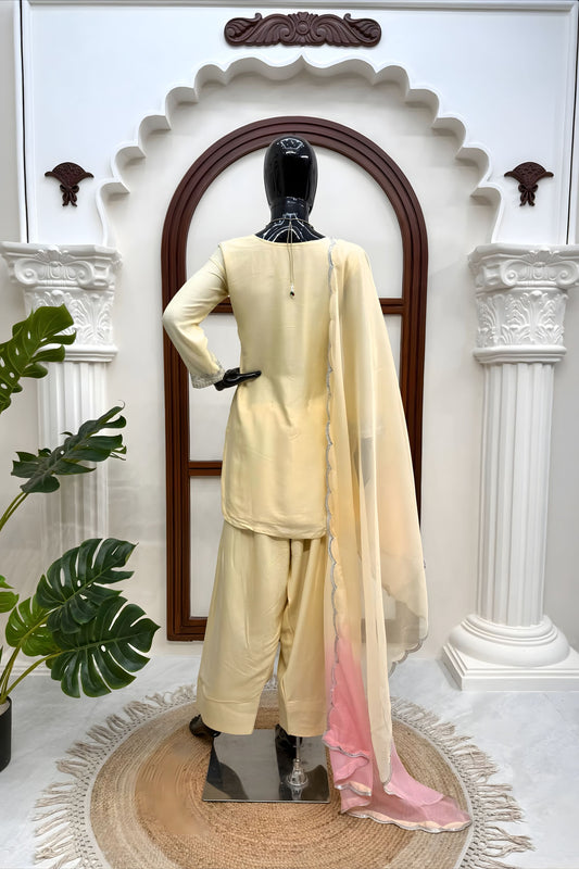 Elegant Cream Heavy Reyon Thread Sequin Work Patiala Suit Dupatta for Women