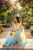 Yellow Sky Blue Designer Saree with Embroidered Border