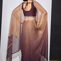 Wine Brown Copper Dual Tone Saree with Designer Border