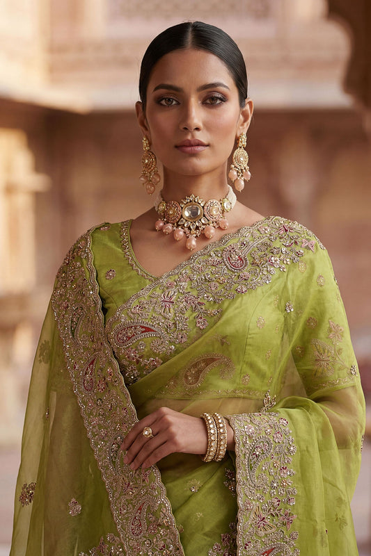 Pista Green Organza Silk Saree Heavy Embroidery Designer Border