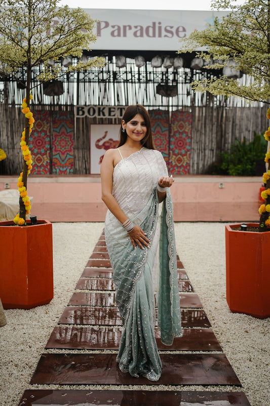 Mint Green Silver Ombre Saree and Designer Border Party Saree