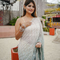 Mint Green Silver Ombre Saree and Designer Border Party Saree