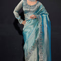 Sea Green Shimmer Silk Saree with Heavy Stone Zari Embroidered Border
