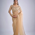 Champagne Gold Embroidered Silk Saree Designer Blouse