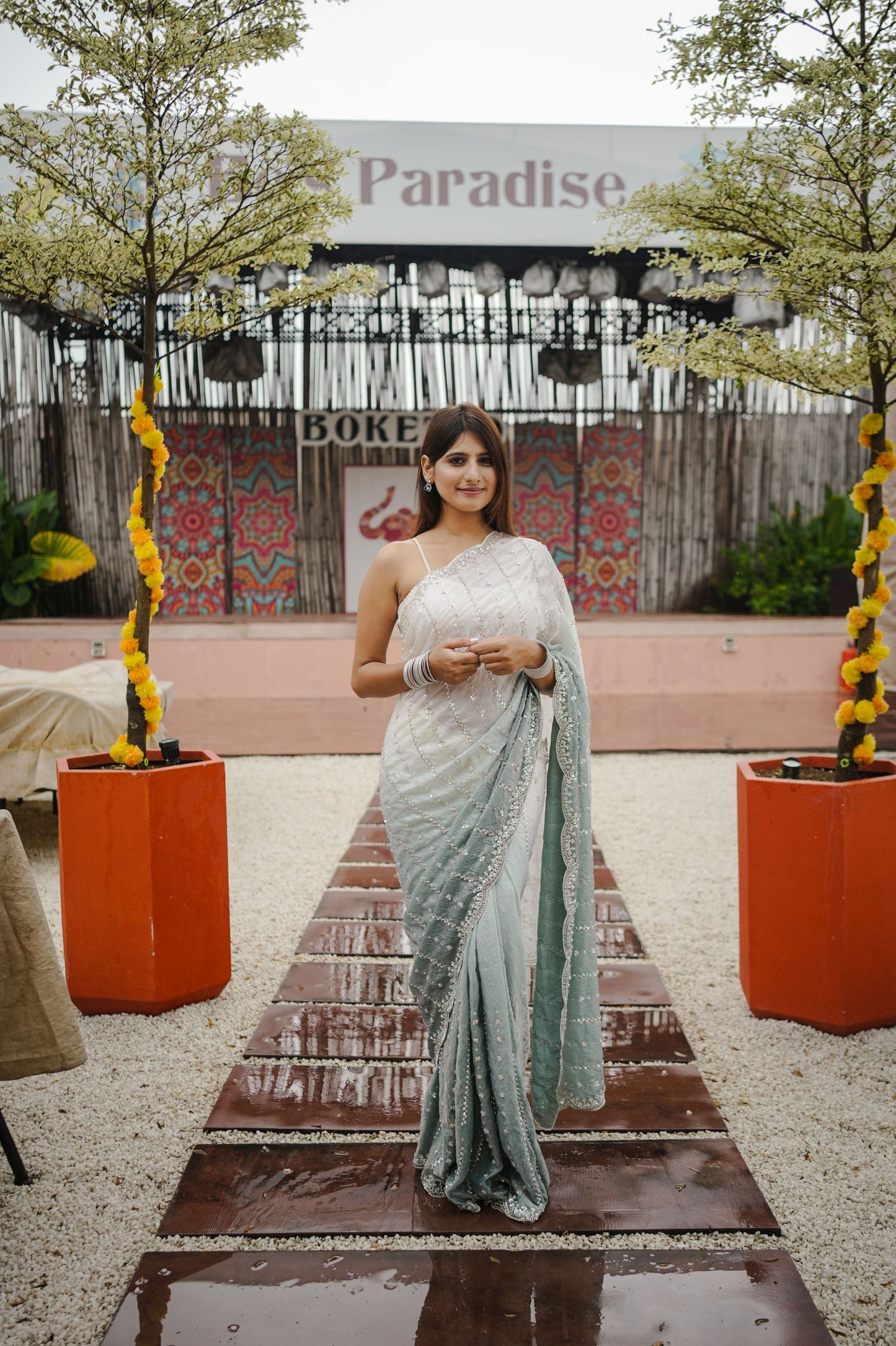 Mint Green Silver Ombre Saree and Designer Border Party Saree