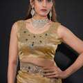 Royal Gold Shimmer Silk Saree with Heavy Zari Stone Embroidered Border