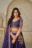 Royal Purple Silk Embroidered Lehenga Choli with Elephant Motif and Dupatta for Wedding