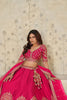 Vibrant Rani Pink Silk Embroidered Lehenga Choli with Elephant Motif and Dupatta for Wedding