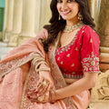 Designer Peach Silk Saree Contrast Red Blouse Festive Wear