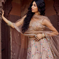 Gorgeous Beige Net Embroidered Wedding Lehenga Choli with Floral Sequins Work