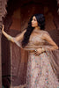 Gorgeous Beige Net Embroidered Wedding Lehenga Choli with Floral Sequins Work