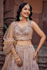 Designer Beige Net Embroidered Wedding Lehenga Choli with Heavy Sequins and Thread Work