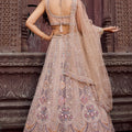 Designer Beige Net Embroidered Wedding Lehenga Choli with Heavy Sequins and Thread Work
