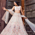 Fancy Cream Net Embroidered Wedding Lehenga Choli with Peacock Motif and Sequins Work