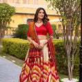 Superb Multicolor Tussar Silk Lehenga Choli with Printed Flared Skirt and Contrast Dupatta
