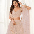 Elegant Peach Butterfly Net Embroidered Lehenga Choli with Dupatta for Wedding