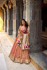 Trendy Peach Organza Zari Work Semi-Stitched Wedding Lehenga Choli with Designer Dupatta