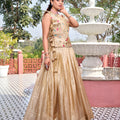 Elegant Beige Gold Crush Silk Embroidered Party Wear Readymade Lehenga Choli Set